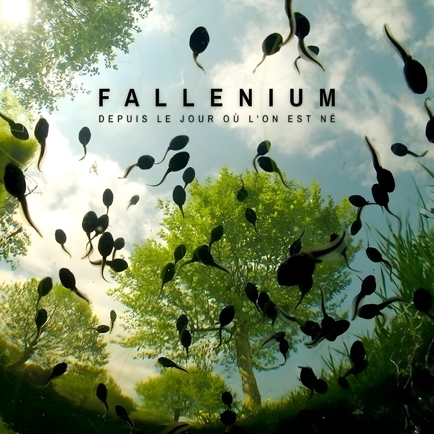 Fallenium23